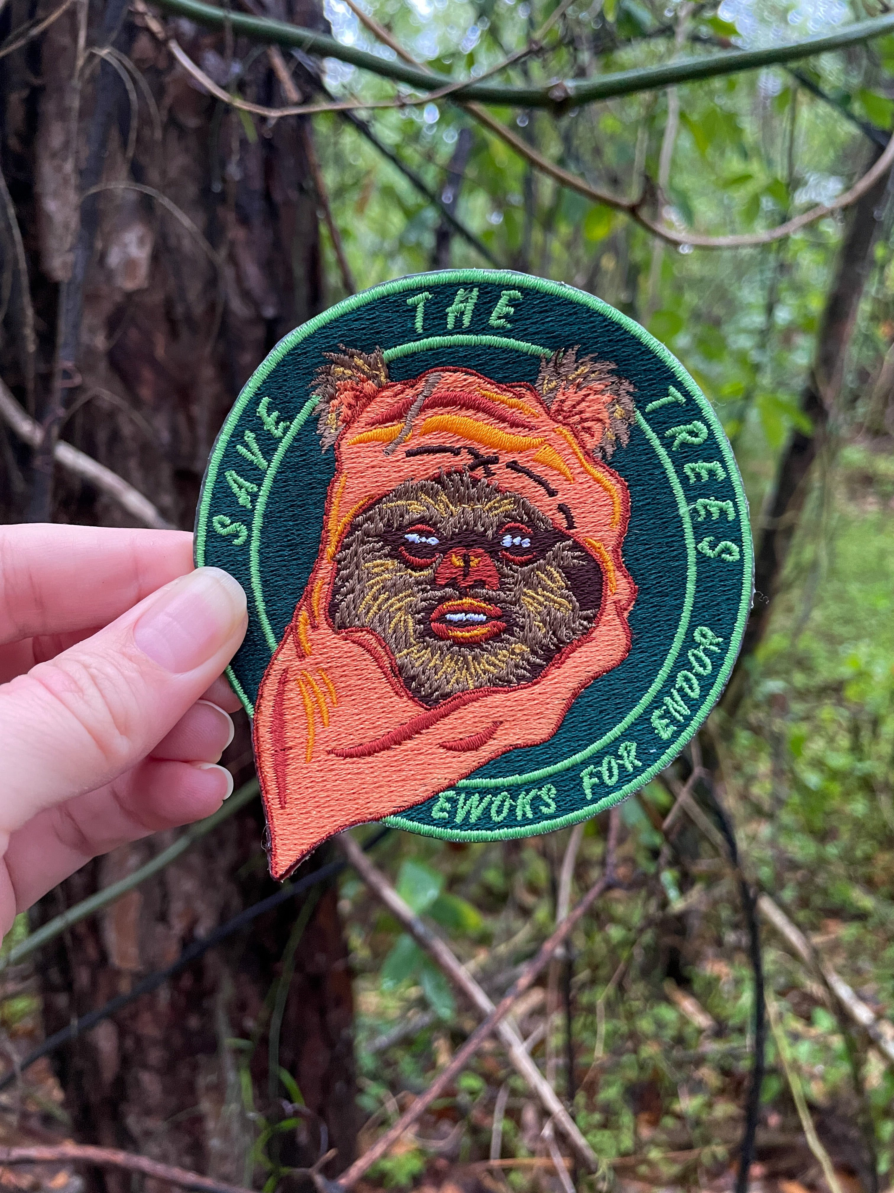 Ewoks for Endor Patch